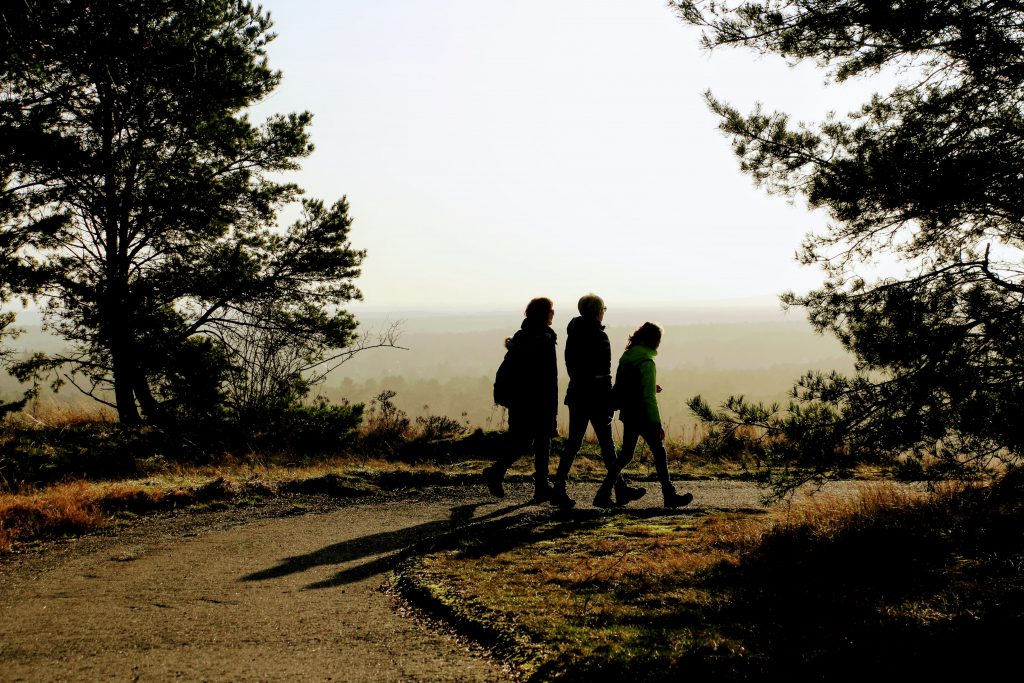 Wandelcoach Limburg