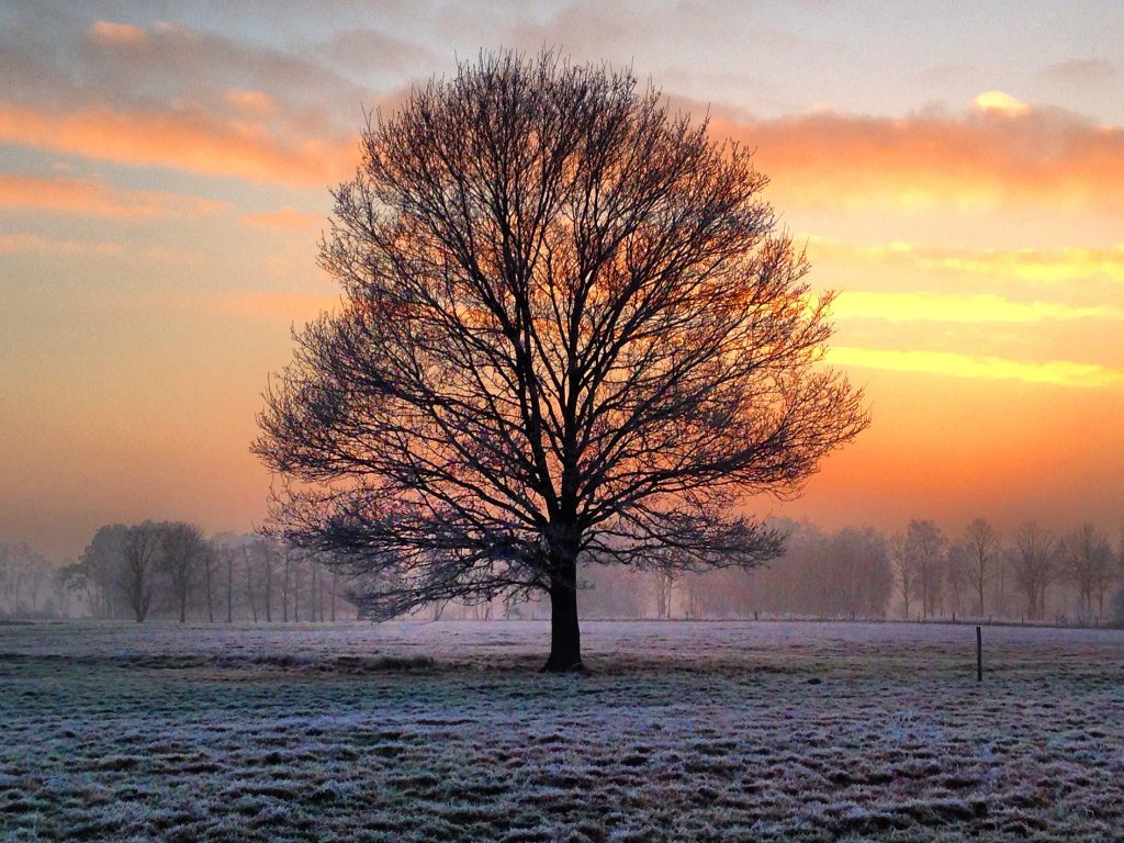 Winter in Zonhoven