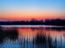 Platwijers Zonhoven Limburg