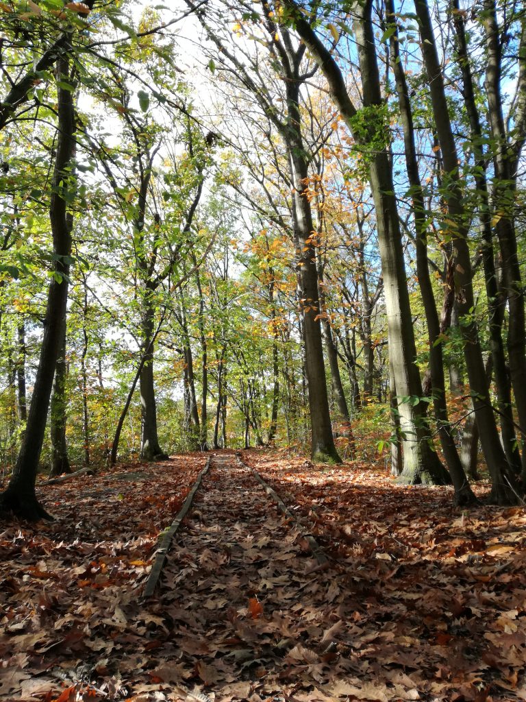 Herfst - het seizoen van loslaten