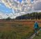 Wandelen in de natuur